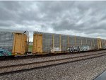 TTGX 852361